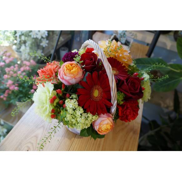 Ｈappy Happy 900015